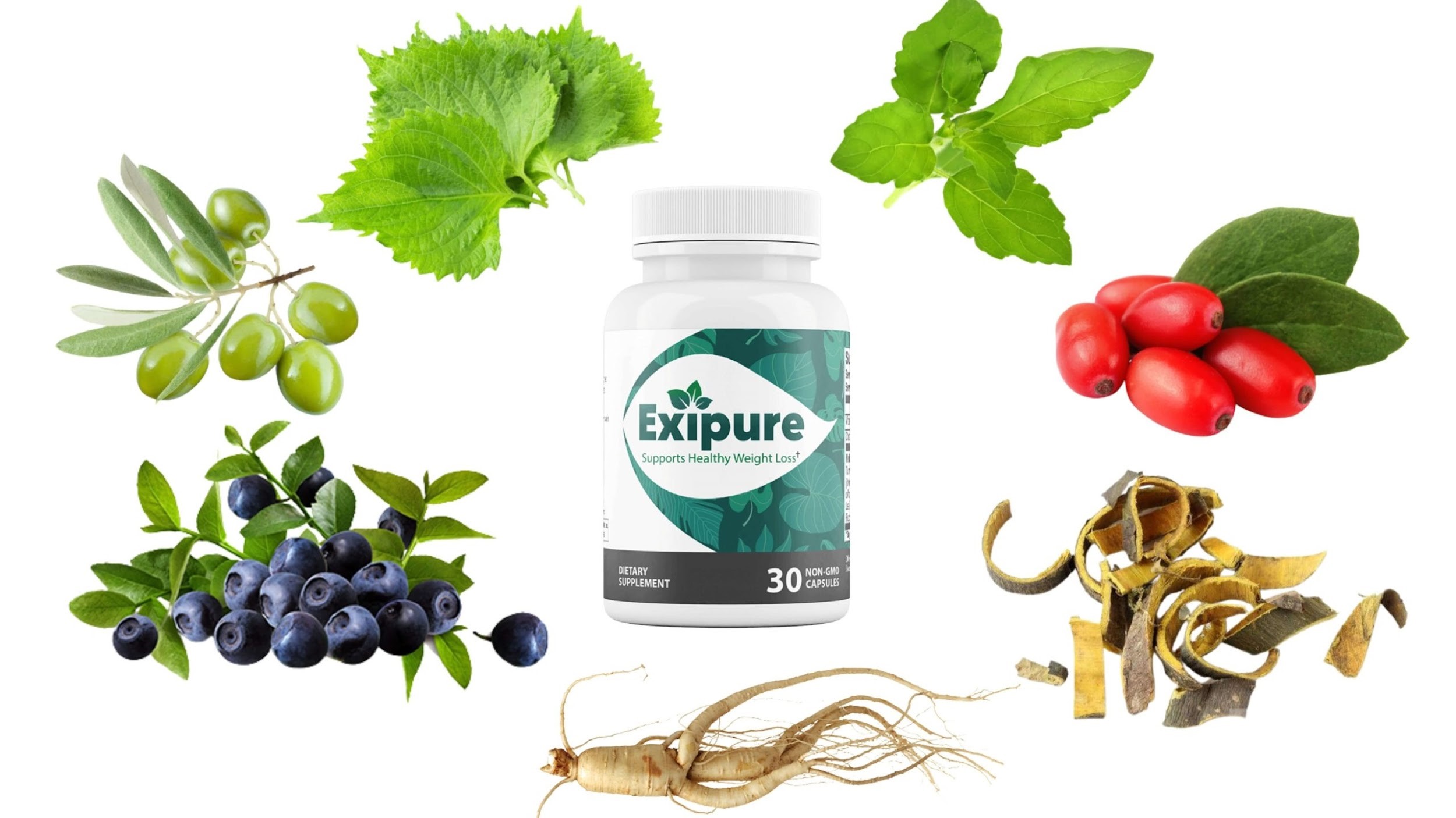 Exipure weight loss supplement Facts